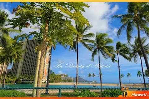 Waikiki Beach hawaii 🌈 Hilton Hawaiian Village ⛱️ Kalakaua Ave 🌴 Hawaii