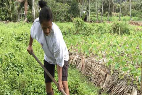 The Impact of Changing Food Production Practices on South Australian Cuisine