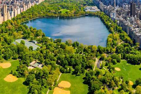 The Best Family-Friendly Adventures in the Big Apple