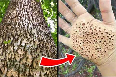 Most Dangerous Trees You Should NEVER Touch