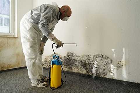 Mold Remediation Wake Forest Nc