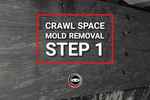 How To Remove Mold From Crawl Space Yourself: Step-by-Step Guide For Homeowners