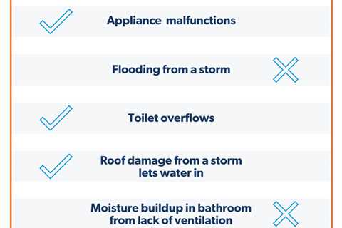 Is Mold Inspection In Tucson Covered By Homeowners’ Insurance?