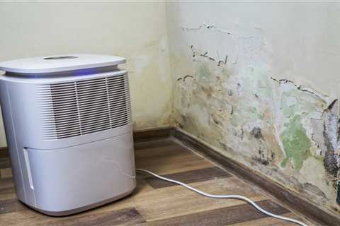 Do Dehumidifiers Help With Mold?