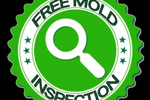 Free Mold Inspection