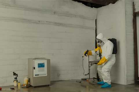 Professional Mold Testing Services in Baltimore – Your Best Choice!