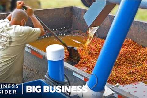 How Millions Of Pounds Of Coffee Are Processed At Hawaiian Coffee Farms | Big Business