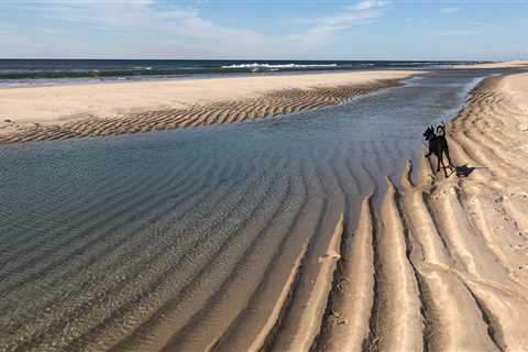 The Best Beaches in Suffolk County to Visit This Summer