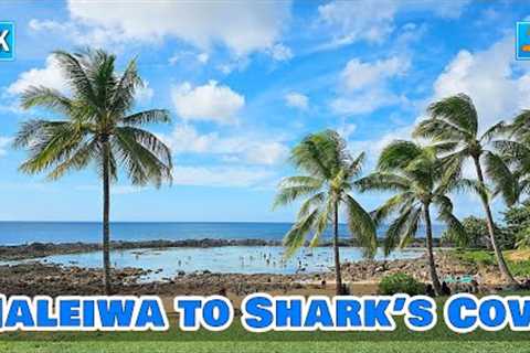 Oahu North Shore Driving 🌈 From Haleiwa Historic Town to Shark''s Cove ⛱️ Popular Spot for..