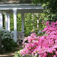 Here Comes the Sun | Enjoy Your Outside Spaces in the Shade - Central Virginia HOME Magazine