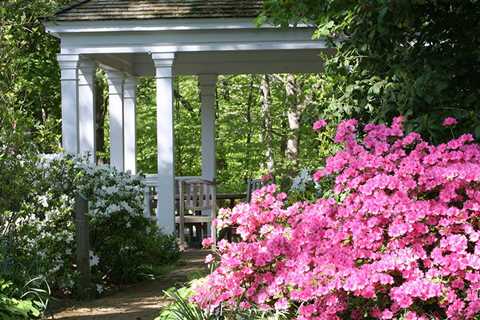 Here Comes the Sun | Enjoy Your Outside Spaces in the Shade - Central Virginia HOME Magazine