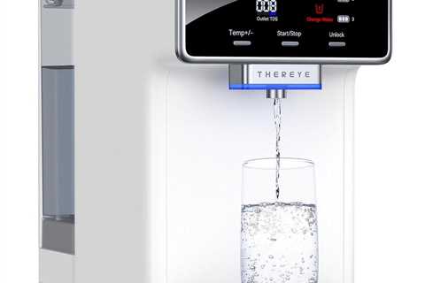 Thereye Countertop Water Filter Review