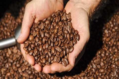 The Rise of Vegan and Vegetarian Options at Coffee Shops in Southeast SC